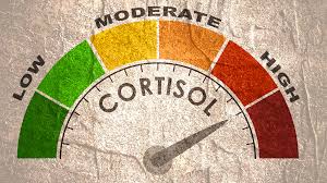 How-to-lower-cortisol-level